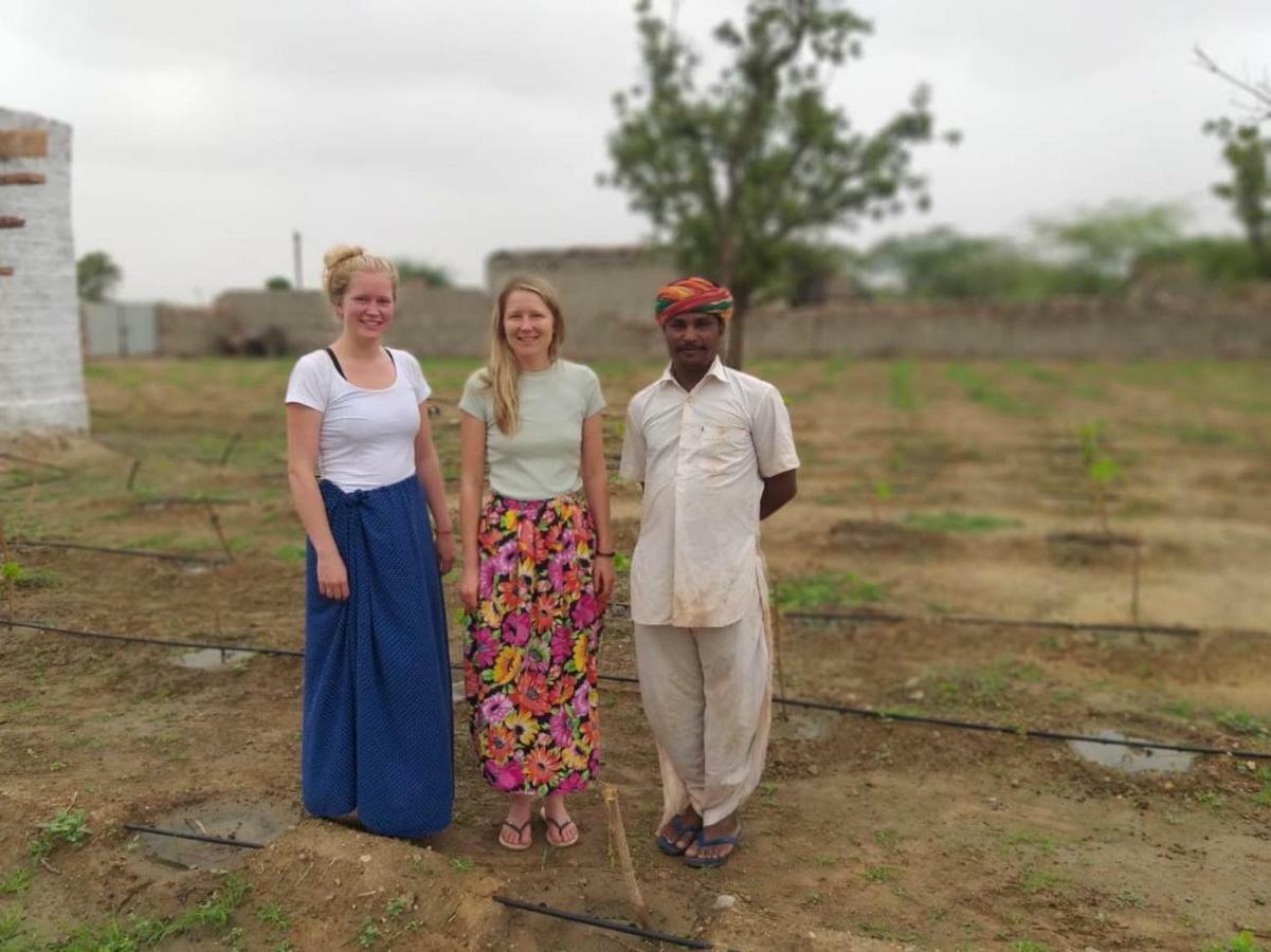 Bishnoi Village Home Stay Jodhpur  Dış mekan fotoğraf
